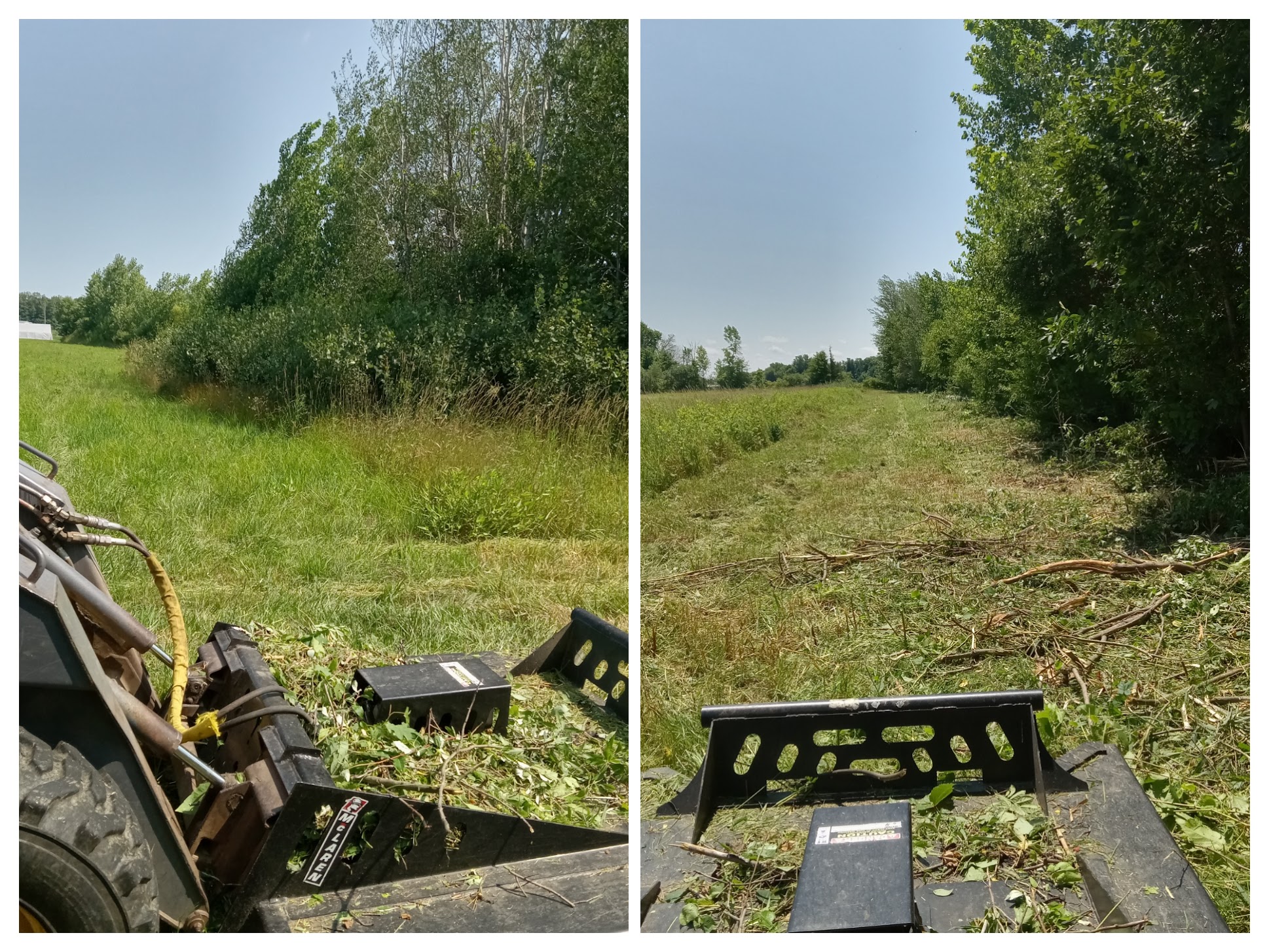 Field Mowing and Property Clean-up