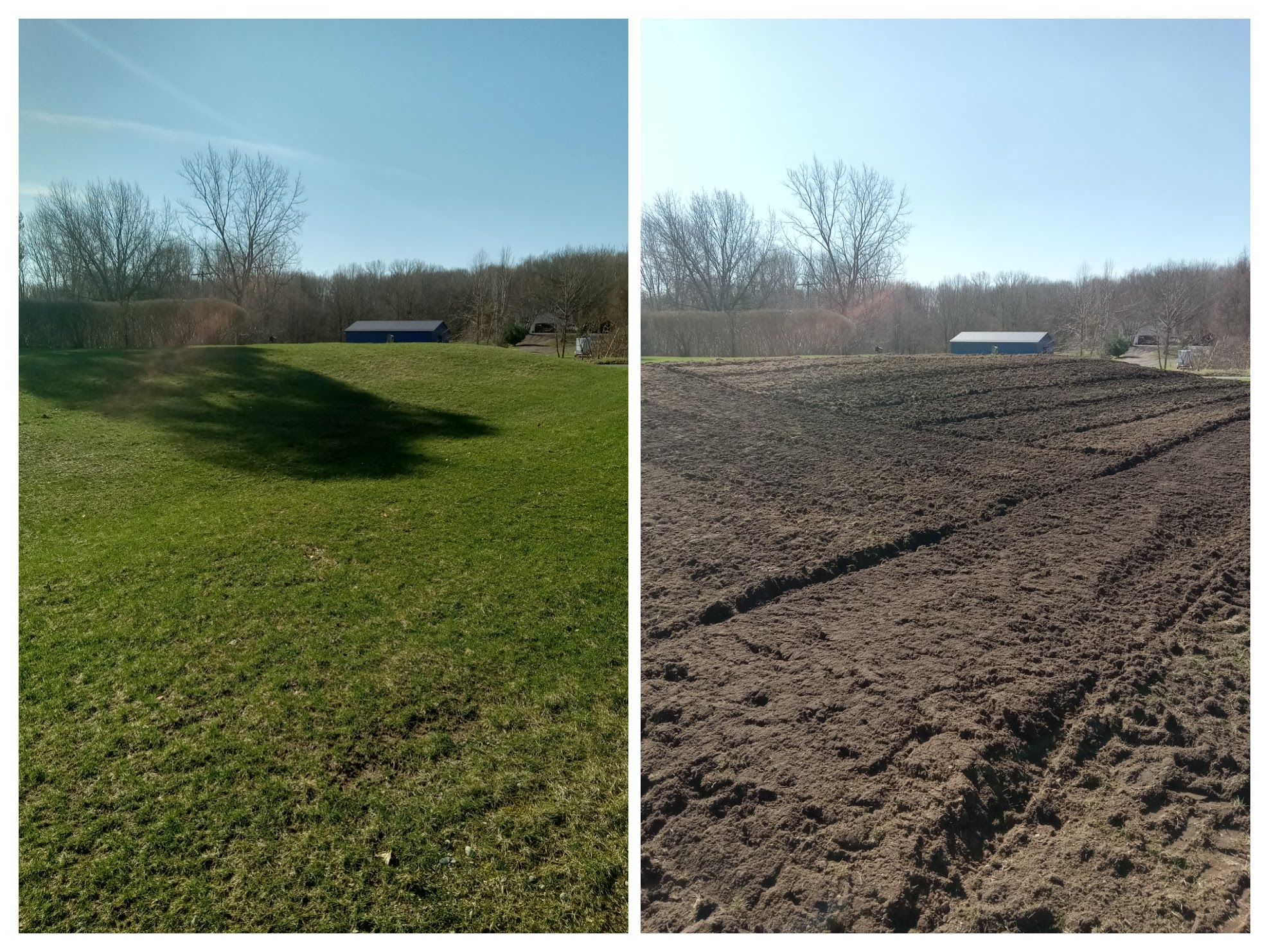 From a rough field to a smooth yard  transformation!